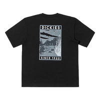 Dickies DK0A8823 纯棉宽松圆领 黑色 M 男士T恤