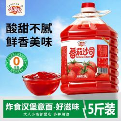 食神 番茄沙司 100g*3+30g*2 商用大桶装