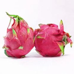 京世泽 红心火龙果5斤装 红肉蜜宝