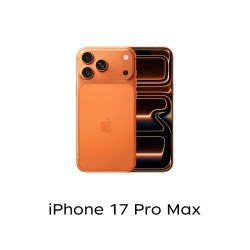 Apple iPhone 17 Pro Max 5G手机 机身颜色：金色；存储容量：256GB