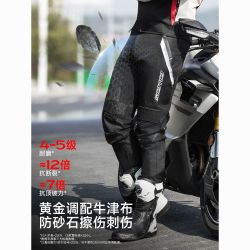 赛羽 摩托车骑行裤春夏季透气防摔EC护具机车拉力装备工装休闲裤子