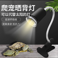 最萌 ZUIMENG/最萌陶瓷晒背灯uvb灯补钙三合一陶瓷加热灯太阳uva保温灯