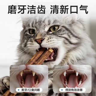 超安健 木天蓼猫咪磨牙棒 猫零食