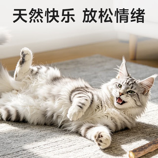 超安健 木天蓼猫咪磨牙棒 猫零食