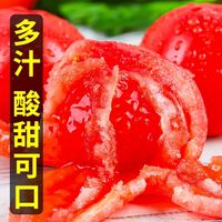 姜晨 宁夏大粉番茄露天沙瓤西红柿5斤
