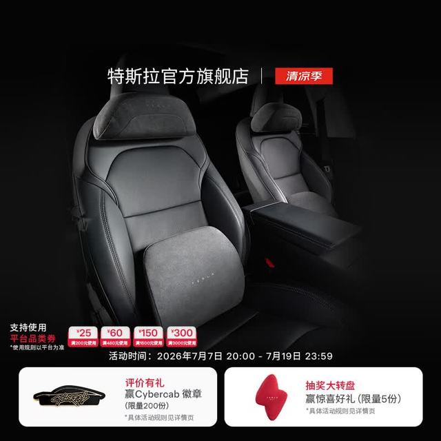 特斯拉 头枕腰靠组合特斯拉 头枕*1+腰靠*1
