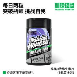 训练怪兽 锌镁片 1.2g*30粒