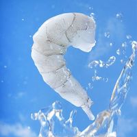 百亿补贴：国联 水产大号白虾仁去冰净重155g*3袋