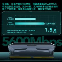 雷克沙 战神铠DDR5内存单条16GB电脑台式机电竞5600MHz雷神6000C38
