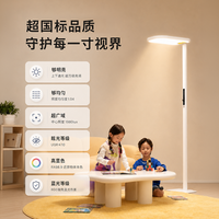 童视界 红光护眼大路灯全光谱落地灯儿童阅读学习专用瞳之光D1Max