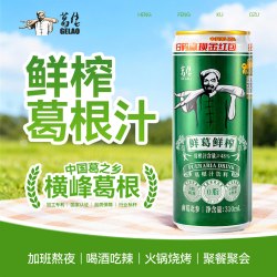 葛佬 葛根汁饮料310ml*6罐