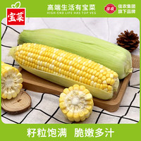 宝菜 玉米云南新鲜金银玉米带皮水果玉米棒低脂减肥早餐 直发整箱包邮 净重3斤