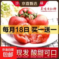 京喜加 新鲜现摘沙瓤西红柿番茄即食沙拉轻食减脂买菜生鲜蔬菜京东快递 山东新鲜西红柿 2斤 （净重1.9斤）