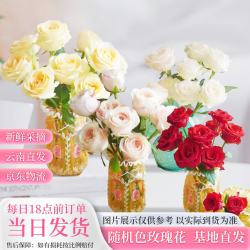 京东鲜花 随机色玫瑰30枝云南基地直发节日礼物