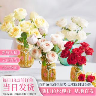 京东鲜花 玫瑰鲜花盲盒 共30枝