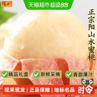 88VIP：阳山 无锡阳山水蜜桃皮薄多汁现摘现发新鲜大桃子日川白凤湖景水果礼盒4枚装单果4两-5两
