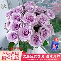 悦多彩 10支！随机单色AB级玫瑰