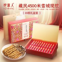 挖草人 西藏那曲冬虫夏草 10g 三级草 40根礼盒装
