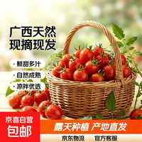 京喜 广西露天圣女果樱桃小番茄即食水果西红柿新鲜蔬菜应季整箱批发价 带箱2斤 1.8斤 净重