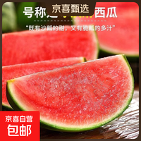 小糖丸 国产小西瓜 8-10斤(2-4粒)