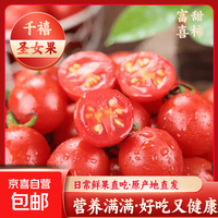广西圣女果千禧小番茄樱桃西红柿孕妇水果应季 带箱5斤净重4.5斤单果6g+