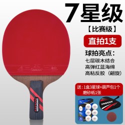 名耐 DBE-01 专业级乒乓球拍 DBE-01 单拍