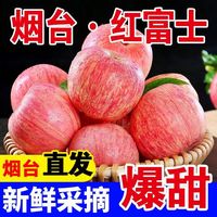 烟台苹果 脆甜红富士当季正宗栖霞冰糖心山东新鲜水果批发整箱