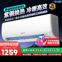 科龙 海信科龙空调大1.5匹新一级能效变频家用冷暖挂机静省电QG纯铜管