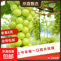 阳光 玫瑰少籽提子整箱批发水果 大果8g+ 1.8斤-2斤