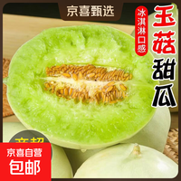京喜 山东冰淇淋玉菇甜瓜现摘现发蜜瓜 净重2-3斤