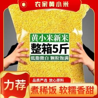 疆域采虹正宗农家脂黄小米原产地新米现磨现发农家小米杂粮粥健康粗粮