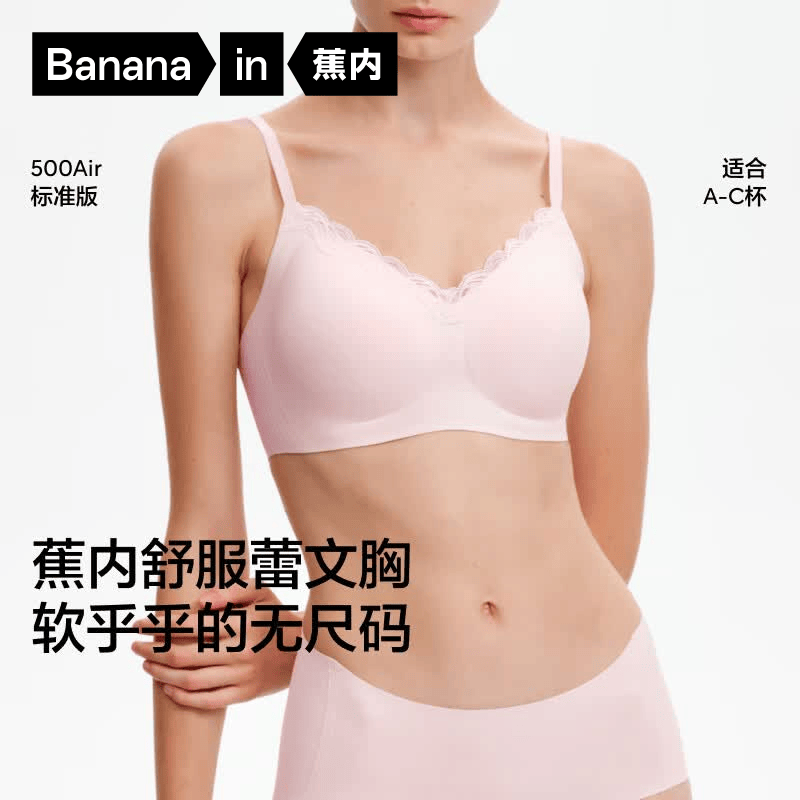 【标准版】鸢粉