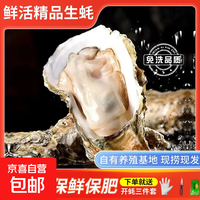 山东鲜活大生蚝 肉质肥美 净重5斤 9斤 原产地直发生鲜到家 2XL尝鲜版(19-28只)净重5斤