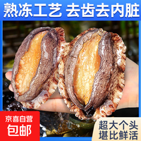 三去大鲍鱼 免处理鲜活速冻鲍鱼肉500g 超大鲍鱼 贝类 海鲜水产 10头