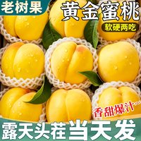 春福乐 正宗山东蒙阴黄桃当季水果现摘水蜜桃有毛无毛桃子 5斤精选装净重4.5斤