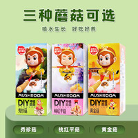 手工DIY家庭种植蘑菇菌包蘑菇盒益智种植1.2KG送喷壶
