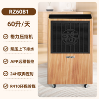 日智除湿机家用轻音抽湿远程智控双核除湿降噪神器可移动(达人）