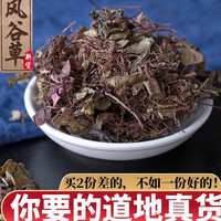 正宗广西山区风柜斗草精选干货野生风柜斗褚头红煲汤泡水车前草