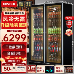 星星 展示柜冷藏保鲜柜网红啤酒柜风冷双开门饮料商用酒吧酒水全屏机除雾IVGC-2D-6520W电热丝款