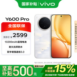 vivo Y600 Pro 12+256G 浮光金 10200mAh耐超低温蓝海电池 耐久抗摔防水认证 拍照 AI手机