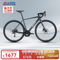 喜德盛 公路自行车2025款RC300碟刹走线车架 16速 灰黑色 480MM 灰黑色 16速