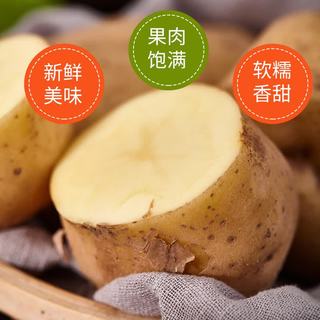 牛爱鲜 黄心土豆 9斤 新鲜马铃薯
