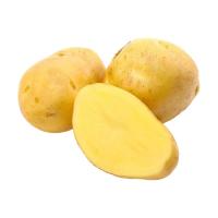牛爱鲜 黄心土豆 9斤 新鲜马铃薯