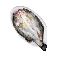 潮夫道 开背海鲈鱼  中号4条装（400-500g/条）