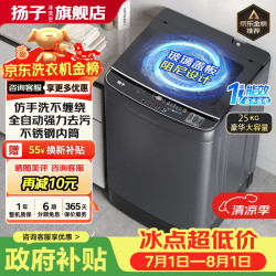 扬子 洗衣机全自动一级能效 家用大容量洗烘一体波轮 出租房宿舍神器 25KG