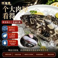 添渔港 新鲜石斑鱼老虎斑珍珠斑 2条装 1000-1200g