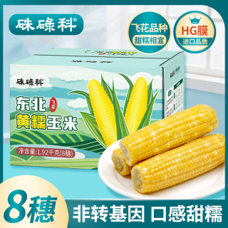 硃碌科 东北鲜食金银黄糯玉米8穗共1.92kg盒装 非转基因 低脂甜加糯品种