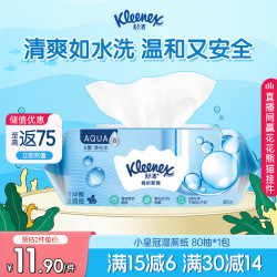 舒洁 湿厕纸 80片