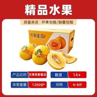 百亿补贴:顺丰 甘肃民勤金红宝蜜瓜 6/8斤彩箱 1250g+