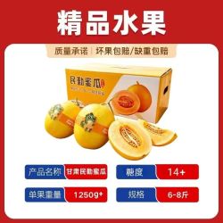 顺丰 甘肃民勤金红宝蜜瓜 6/8斤彩箱 1250g+
